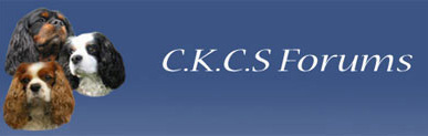 CKCS Forums - Powered by vBulletin